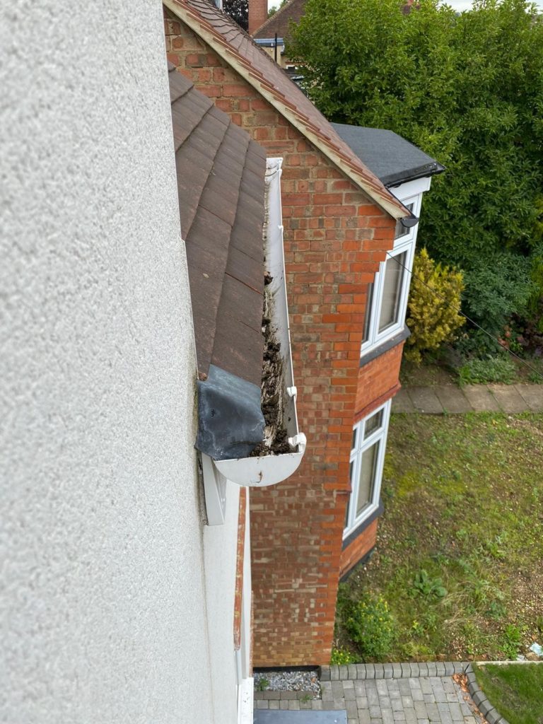 Gutters needing cleaning